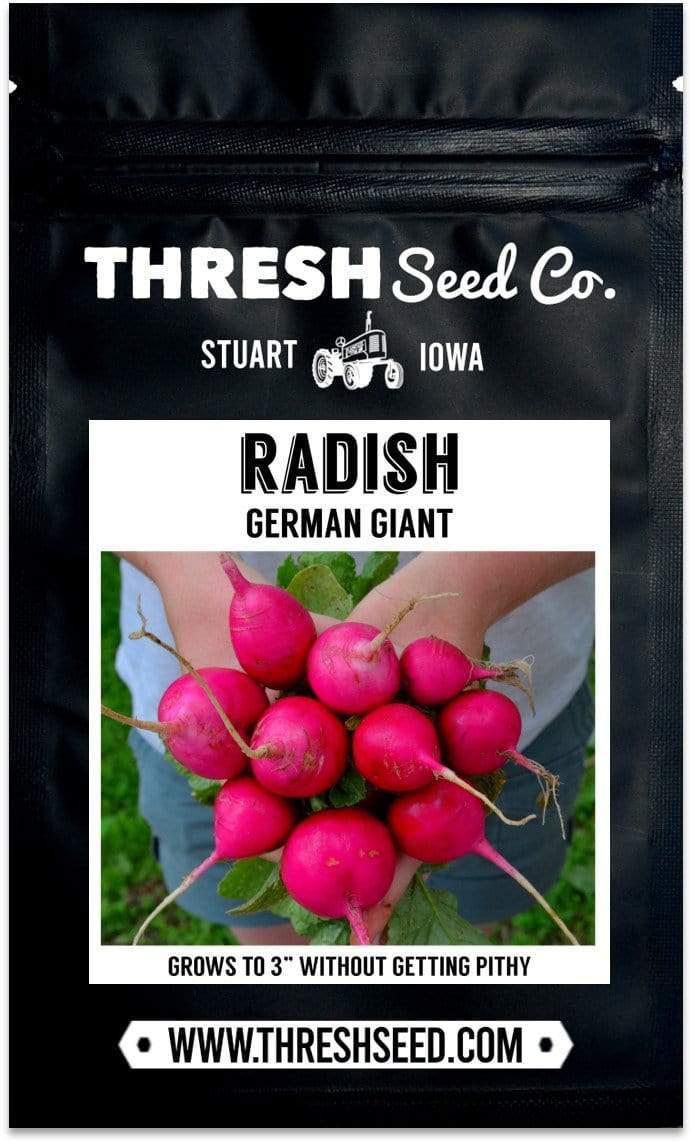 German Giant Radish Seeds
