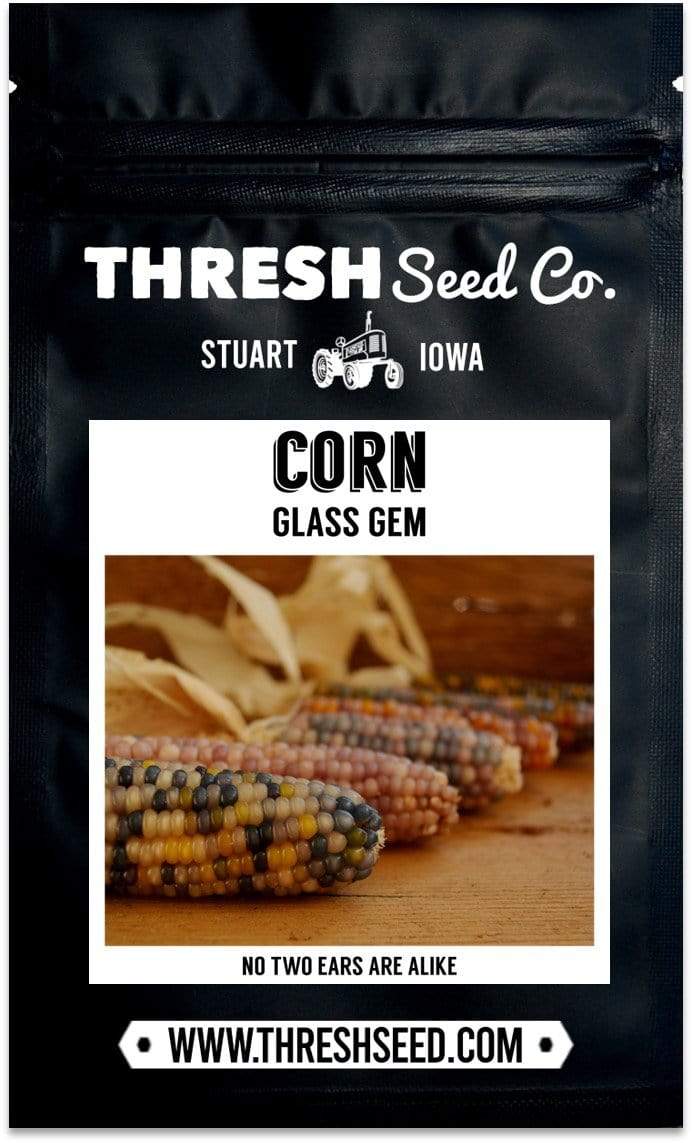 Glass Gem Corn