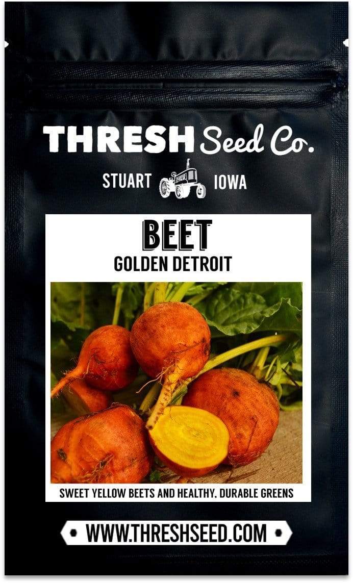 Golden Detroit Beet Seeds