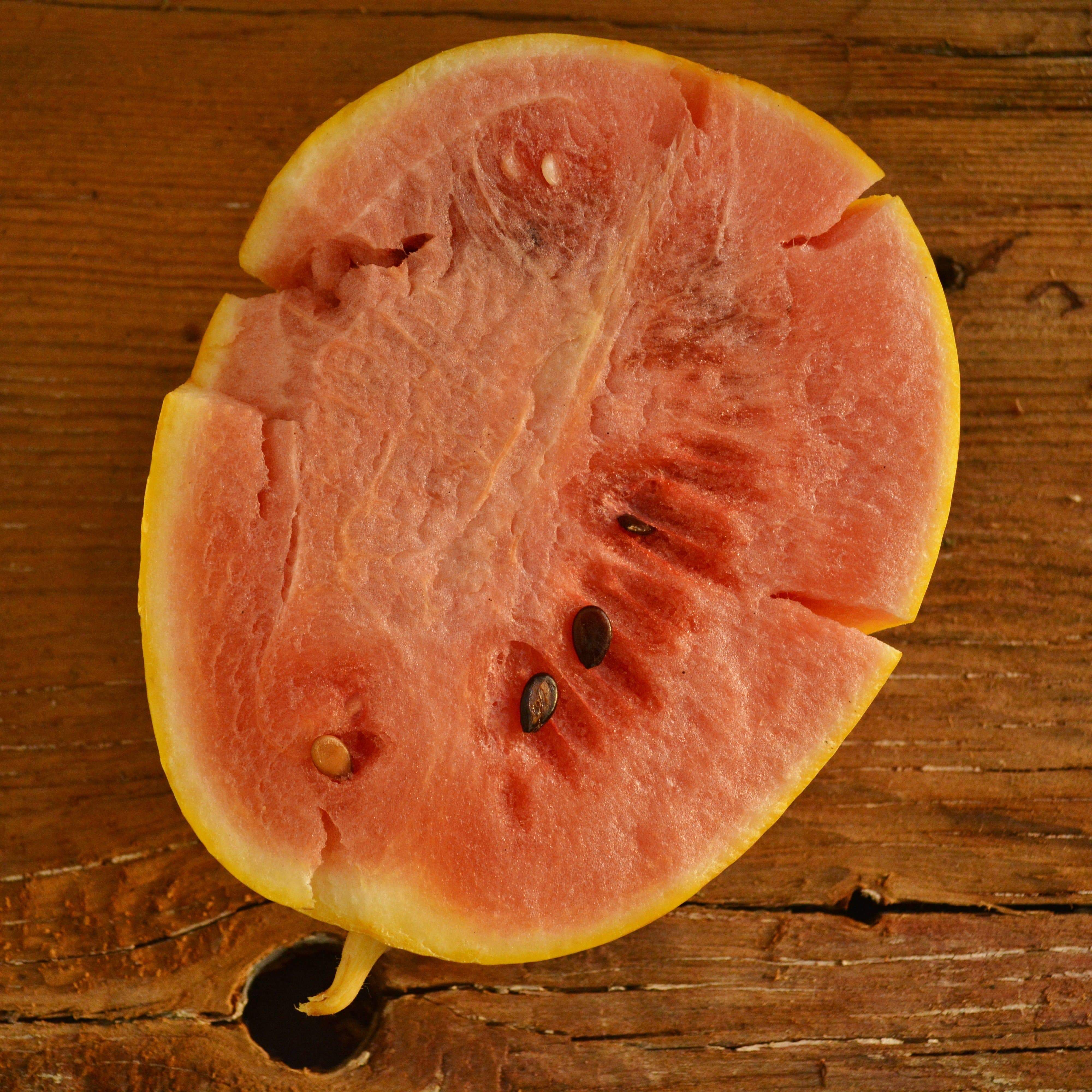 Heirloom Watermelon Seeds Thresh Seed Co.