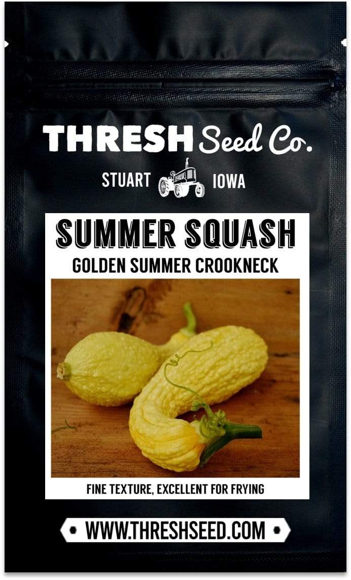 Golden Summer Crookneck Summer Squash Seeds