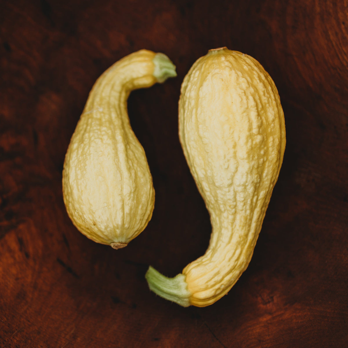 Golden Summer Crookneck Summer Squash