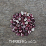 Good Mother Stallard Shelling Bean seeds