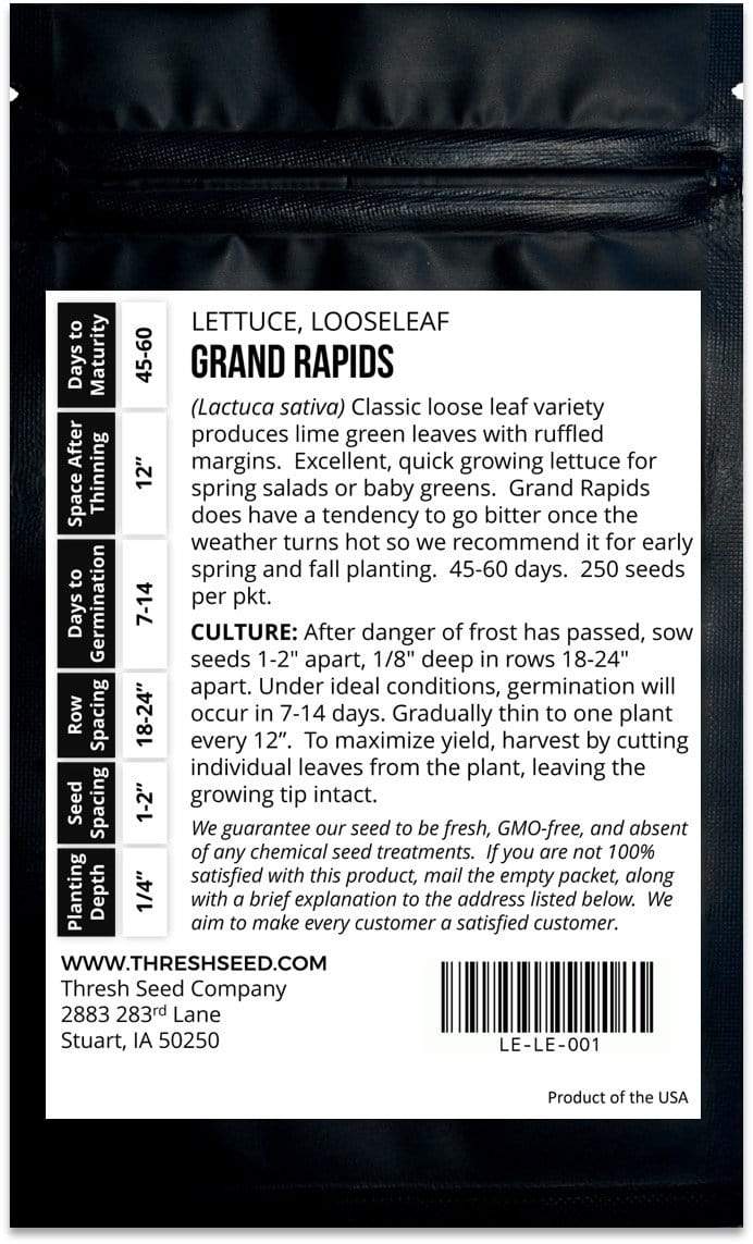 Grand Rapids Lettuce
