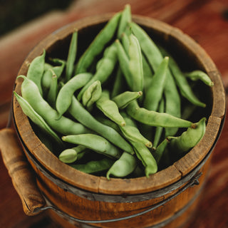 Granny (Tick, Old-Time Brown Stick, Leer) Pole Green Bean