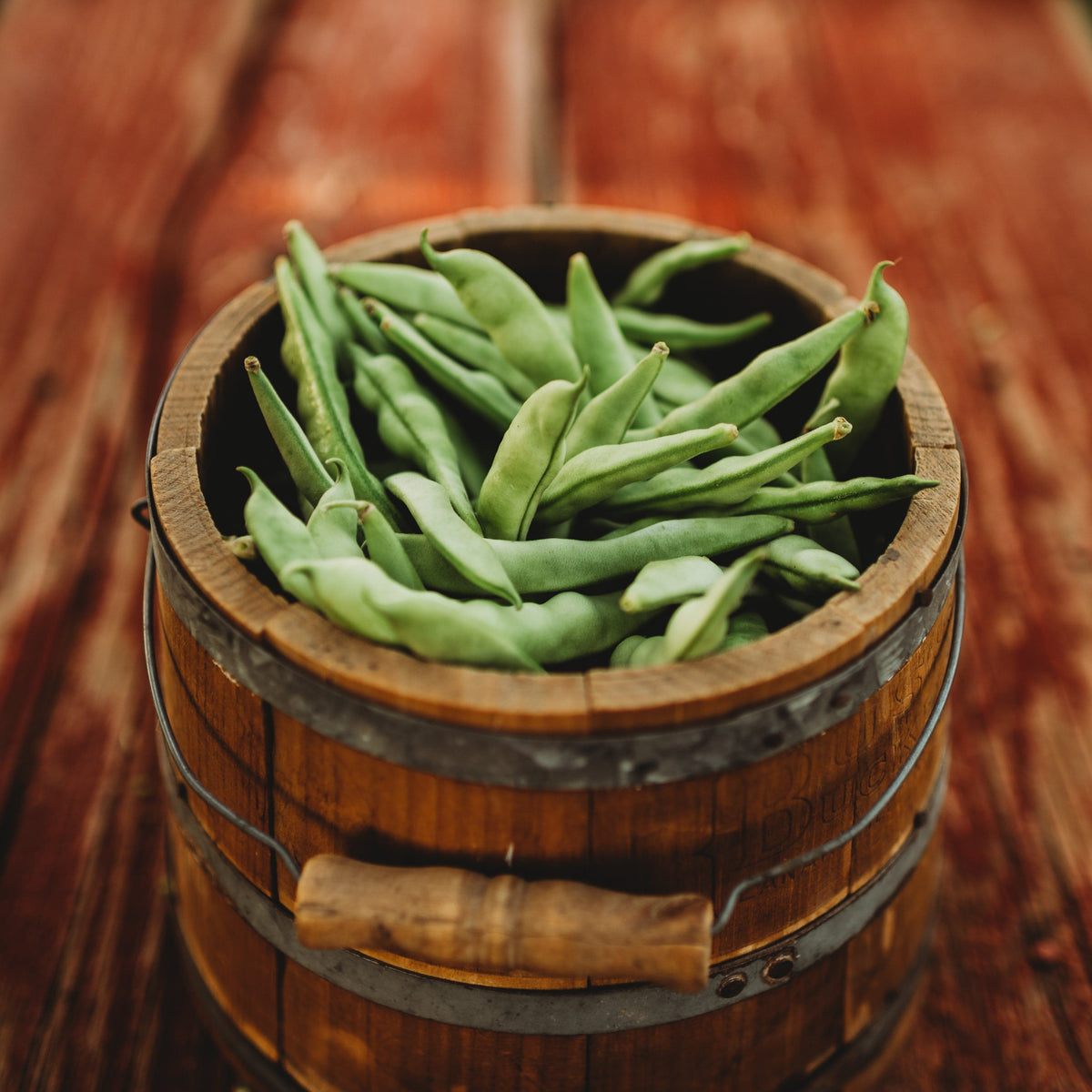 Granny (Tick, Old-Time Brown Stick, Leer) Pole Green Bean