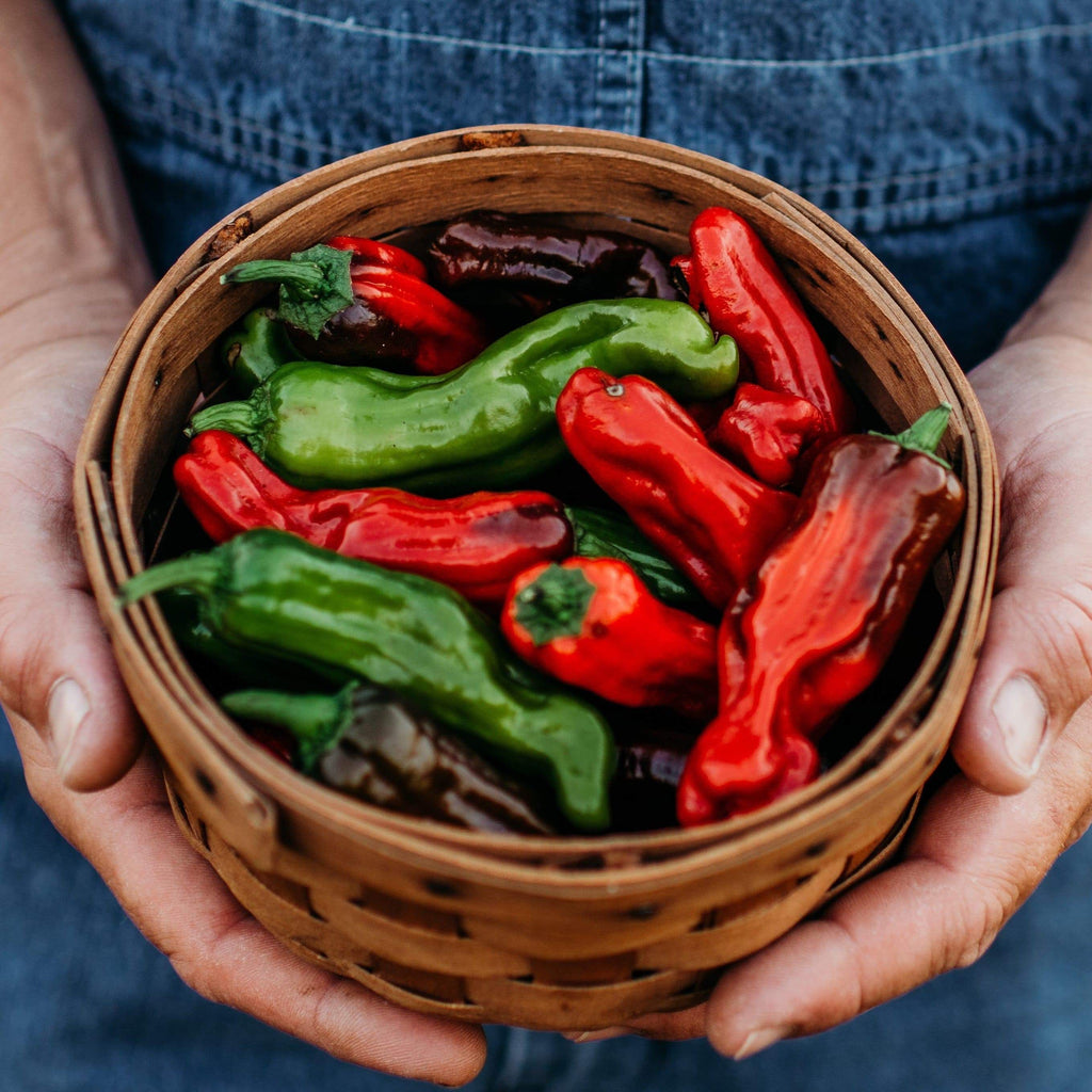Greek Pepperoncini Sweet Pepper Seeds