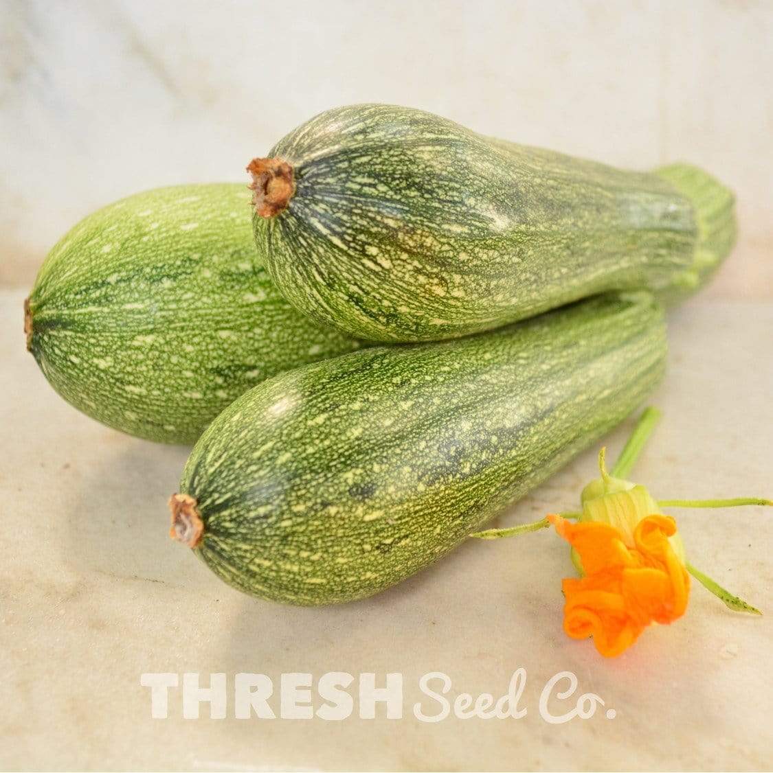 Grey Zucchinis