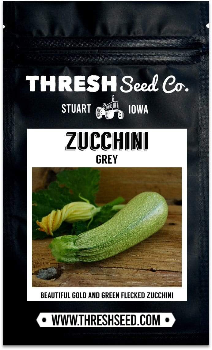 Grey Zucchini Seeds