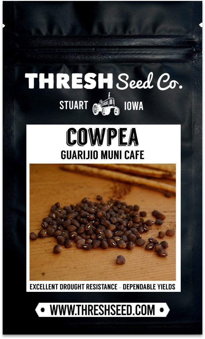 Guarijio Muni Cafe Cowpea Seeds