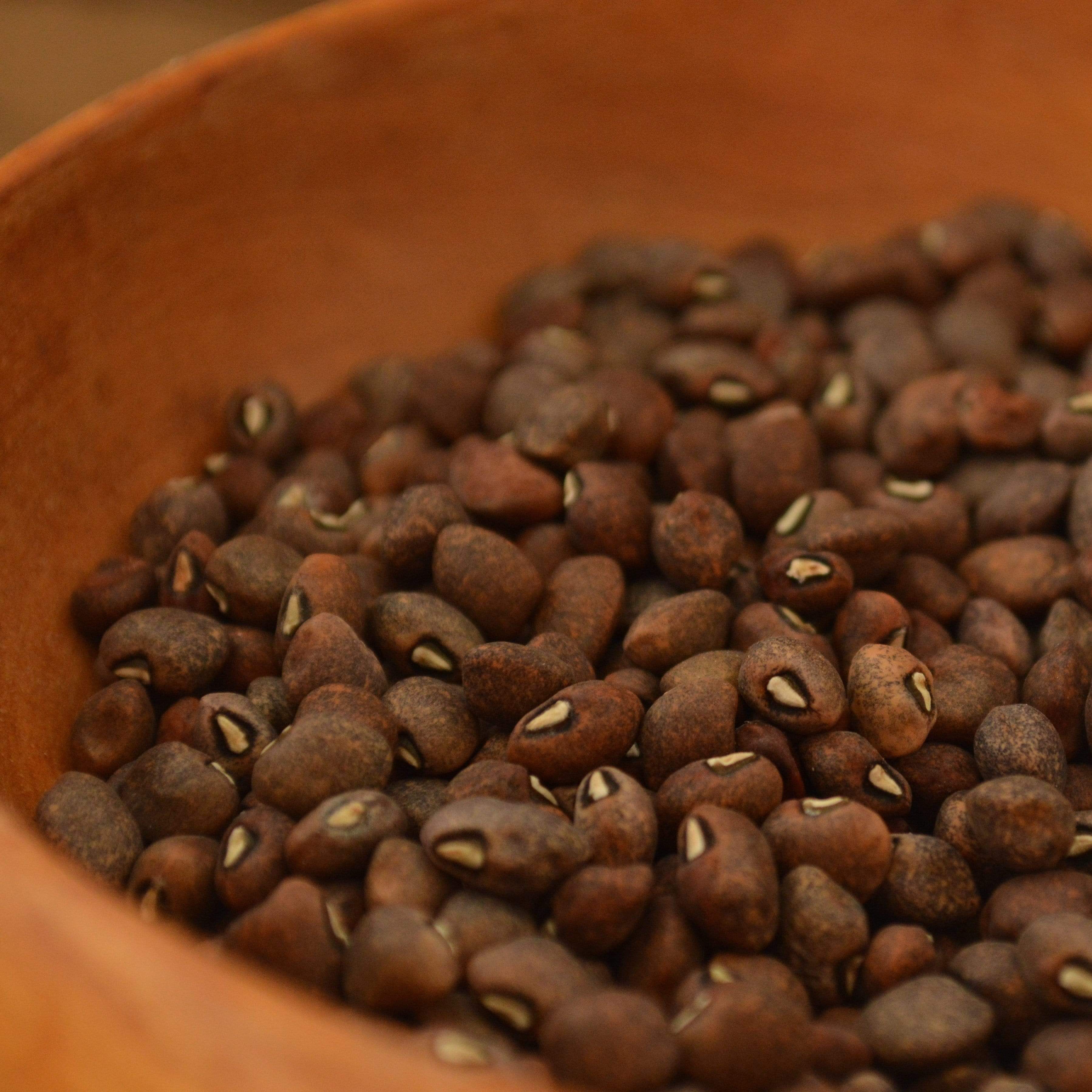 Guarijio Muni Cafe Cowpea Seeds