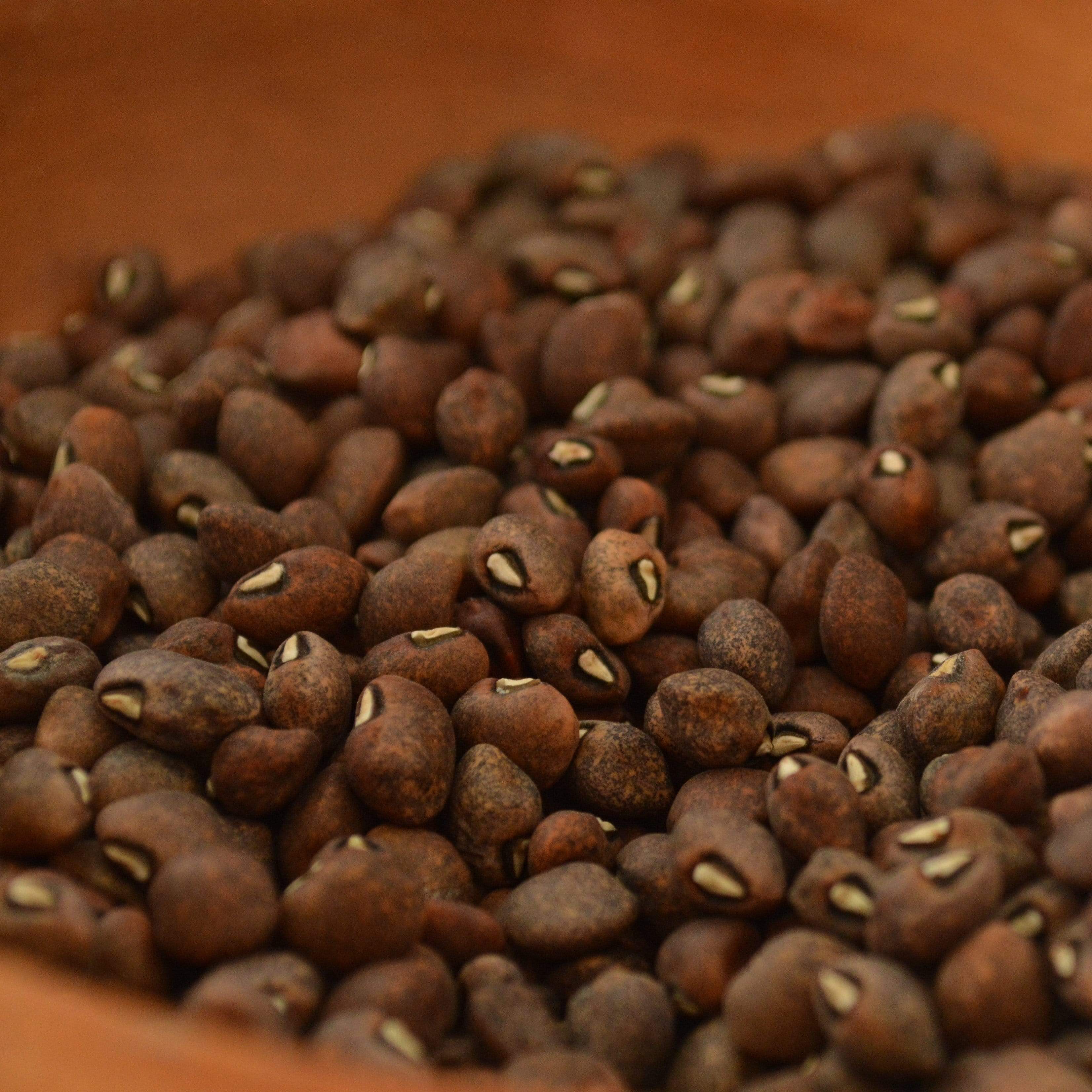 Guarijio Muni Cafe Cowpea Seeds