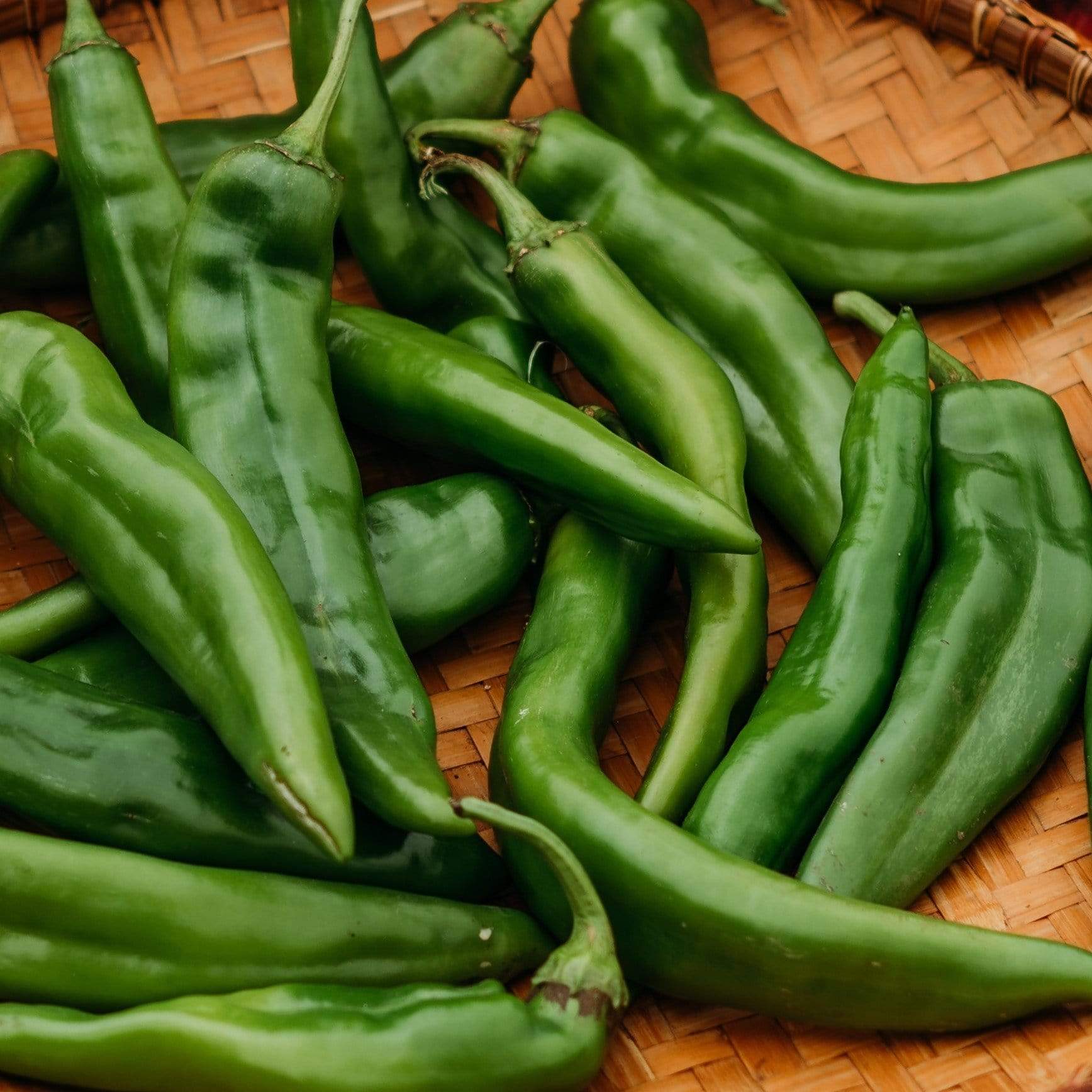 green chilli plant seeds Hatch Green Chile Seeds