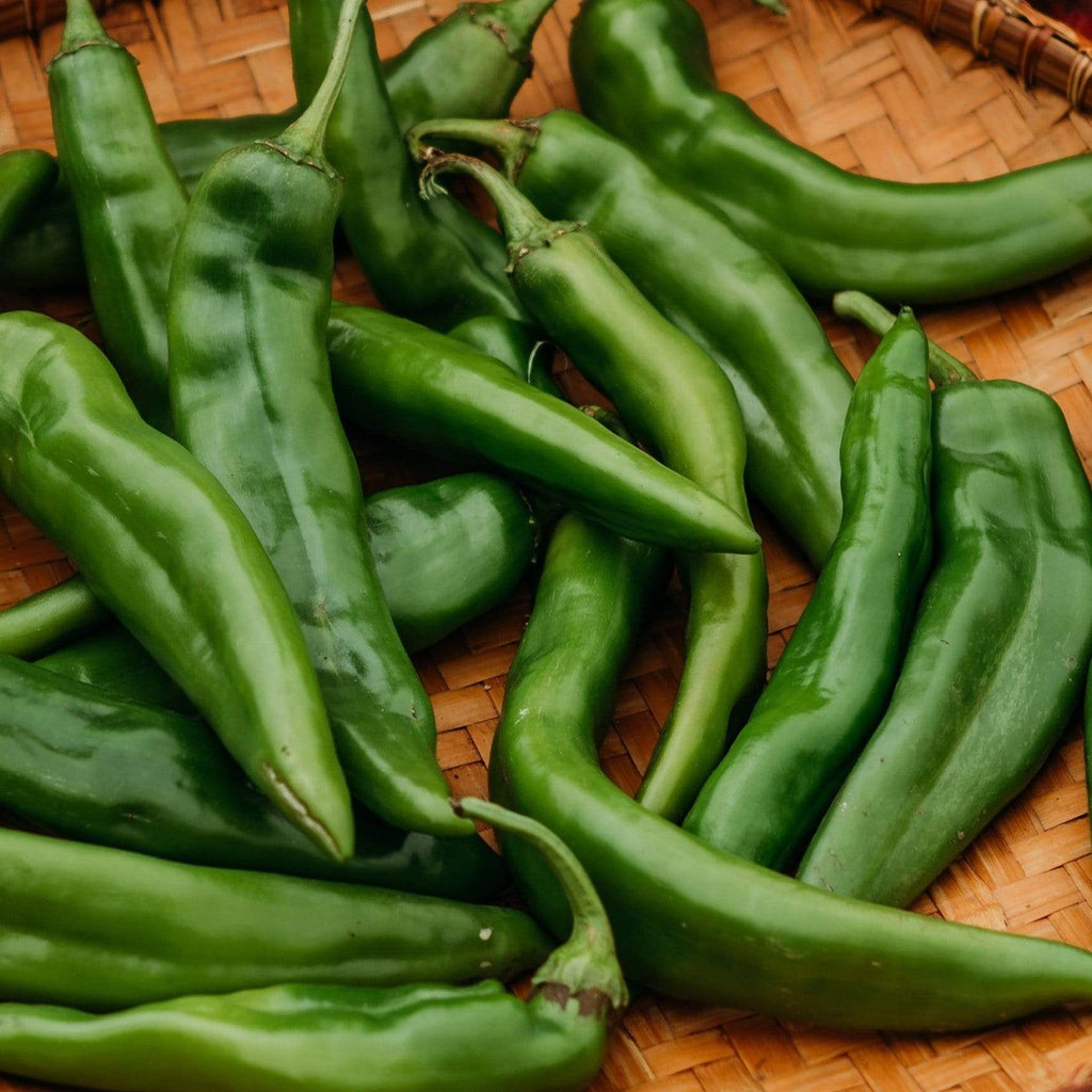 Hatch Green Chile Pepper Seeds