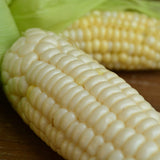 Hayes White Sweet Corn Seeds