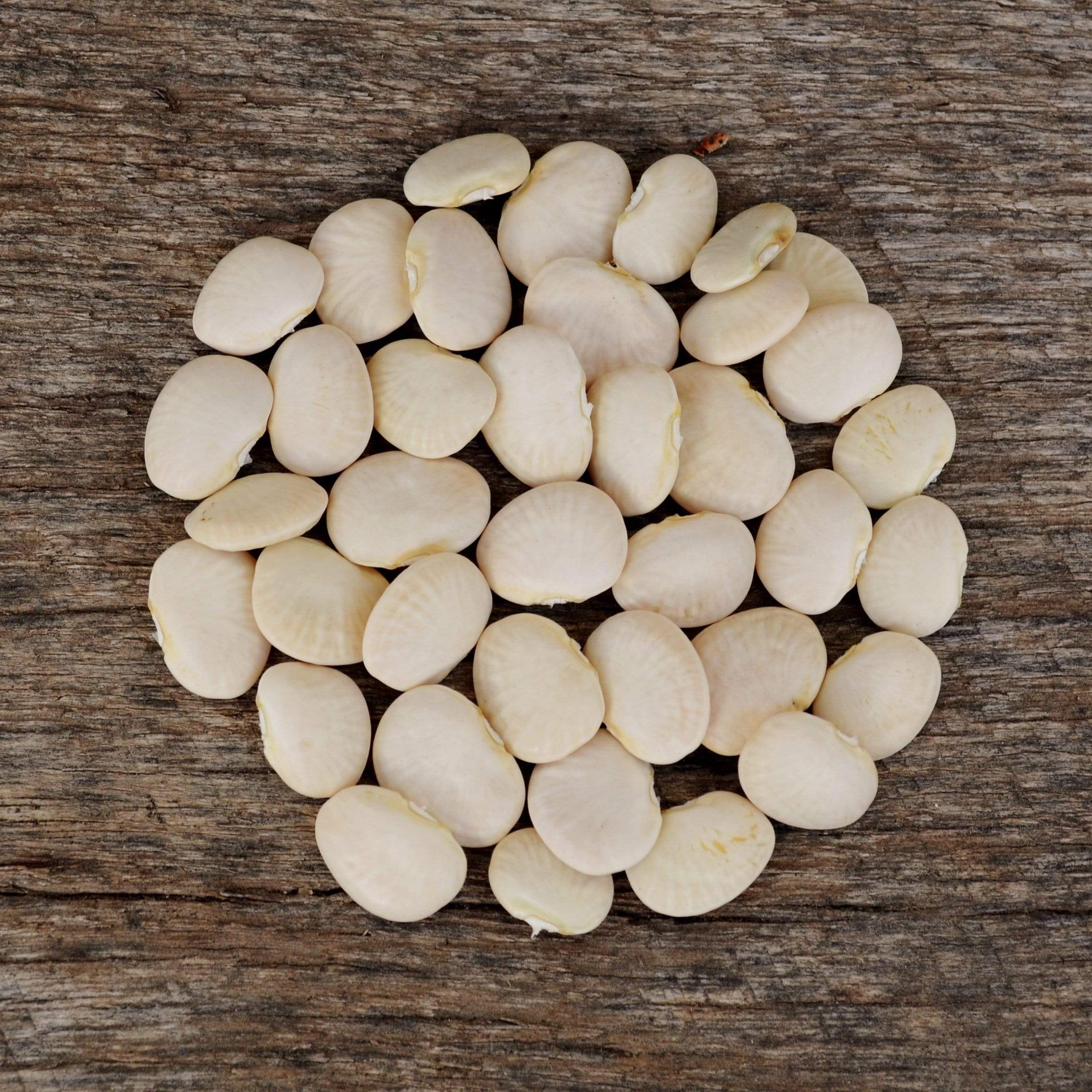 Henderson's Bush Lima Bean Seeds