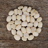 Henderson's Bush Lima Bean Seeds