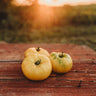 Hensley Settlement Heirloom Yellow Tomato