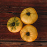 Hensley Settlement Heirloom Yellow Tomato