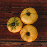 Hensley Settlement Heirloom Yellow Tomato Seeds