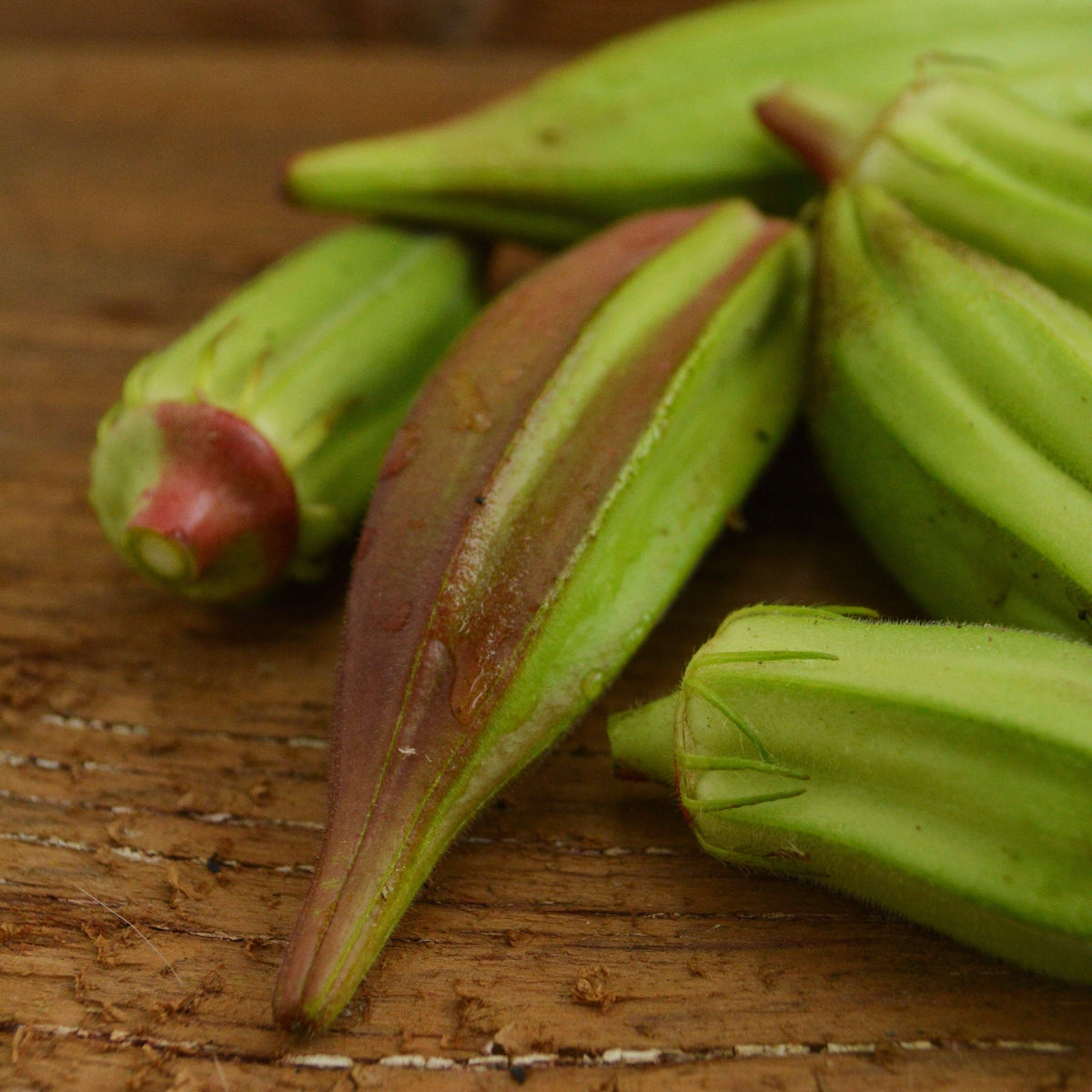 Hill Country Red Okra