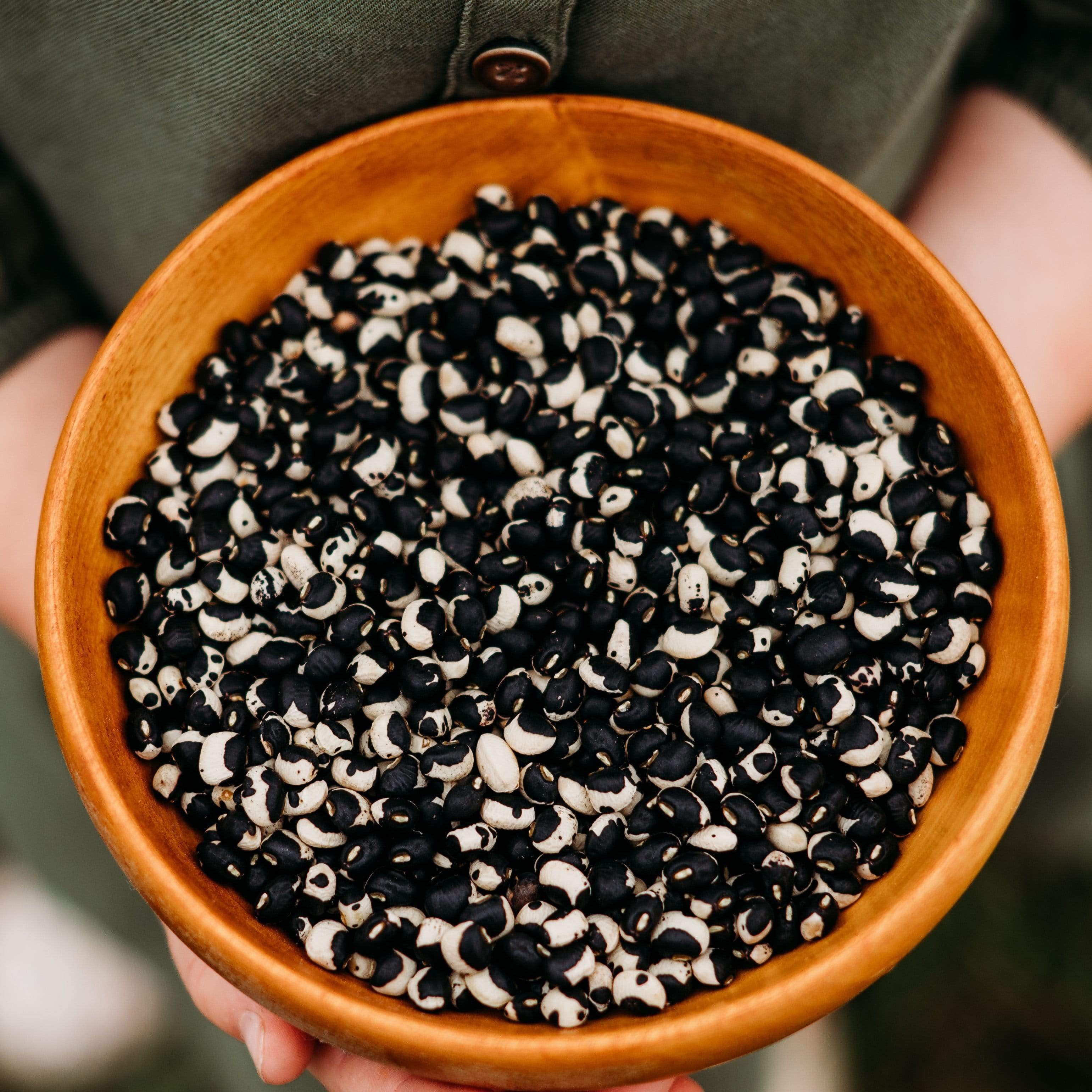 Holstein Heirloom Cowpea Seeds