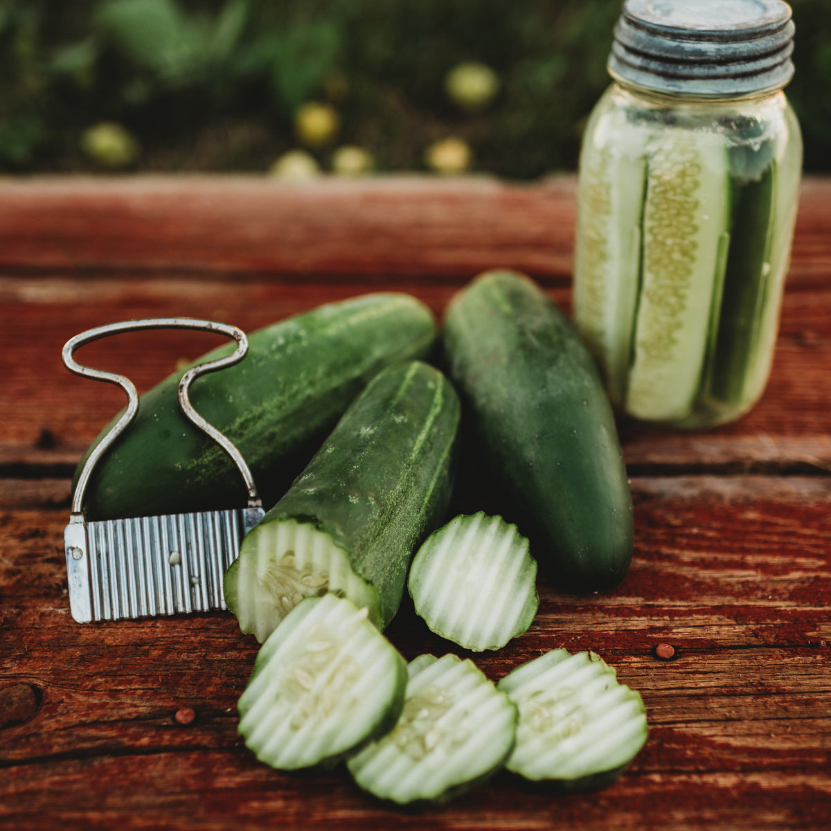 Homemade Pickles Cucumber