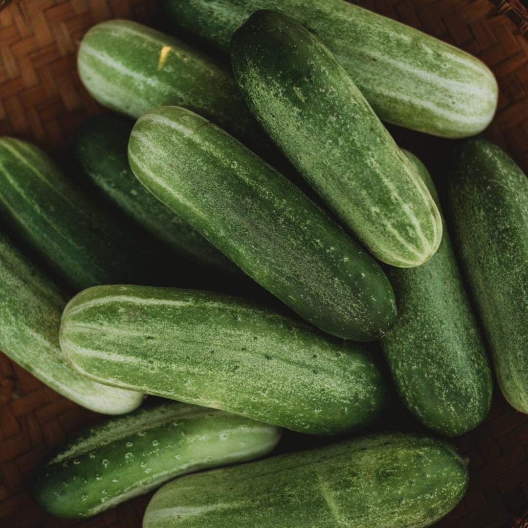 Homemade Pickles Cucumber