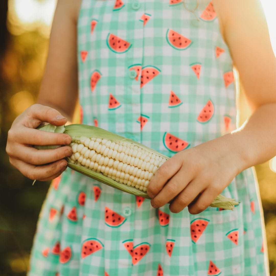 Howling Mob Heirloom Sweet Corn Seeds