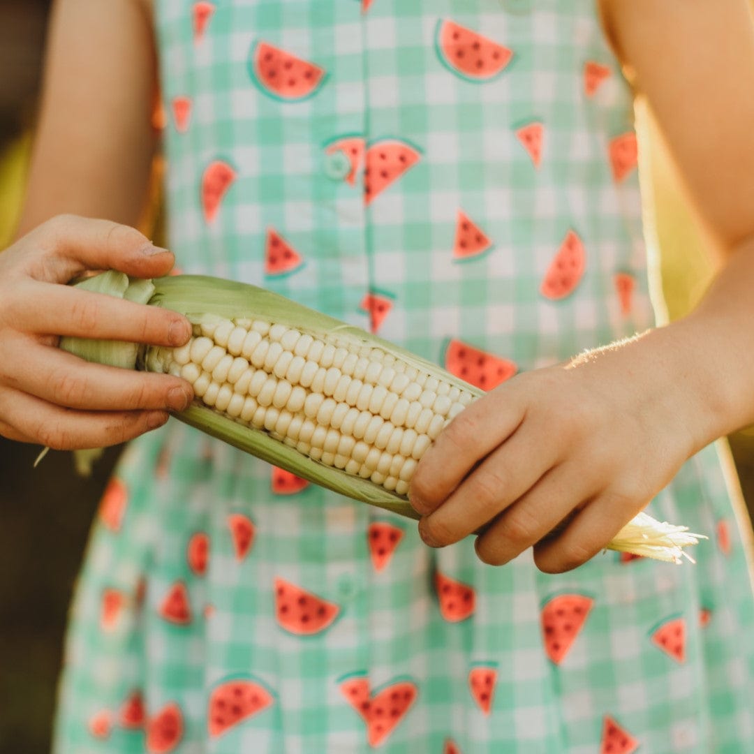 Howling Mob Heirloom Sweet Corn