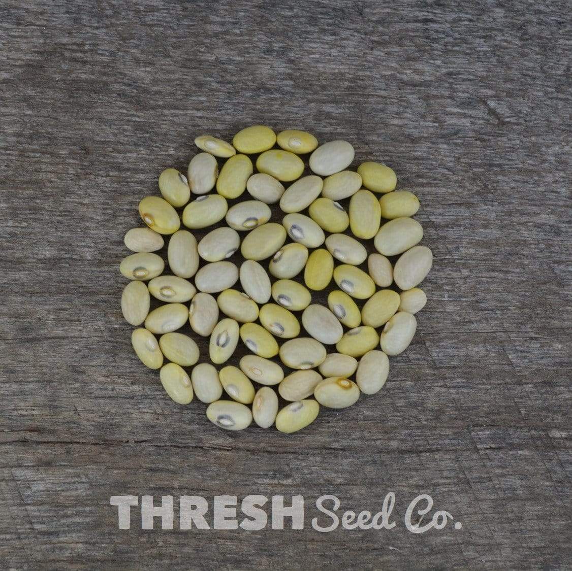 Hutterite Soup Beans