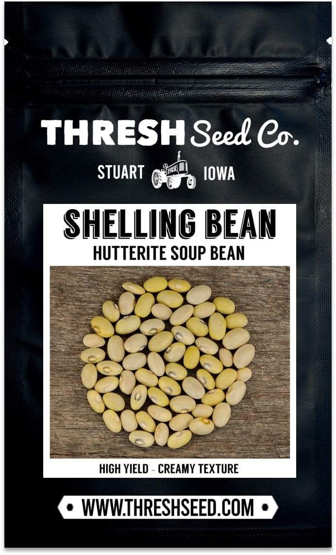 Hutterite Soup Bean Seeds