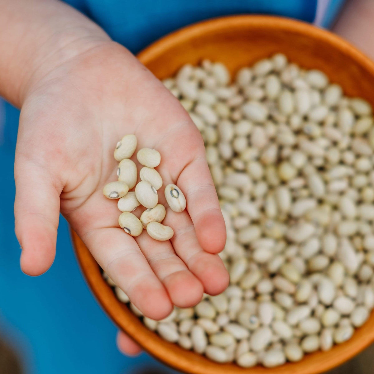 Hutterite Soup Bean