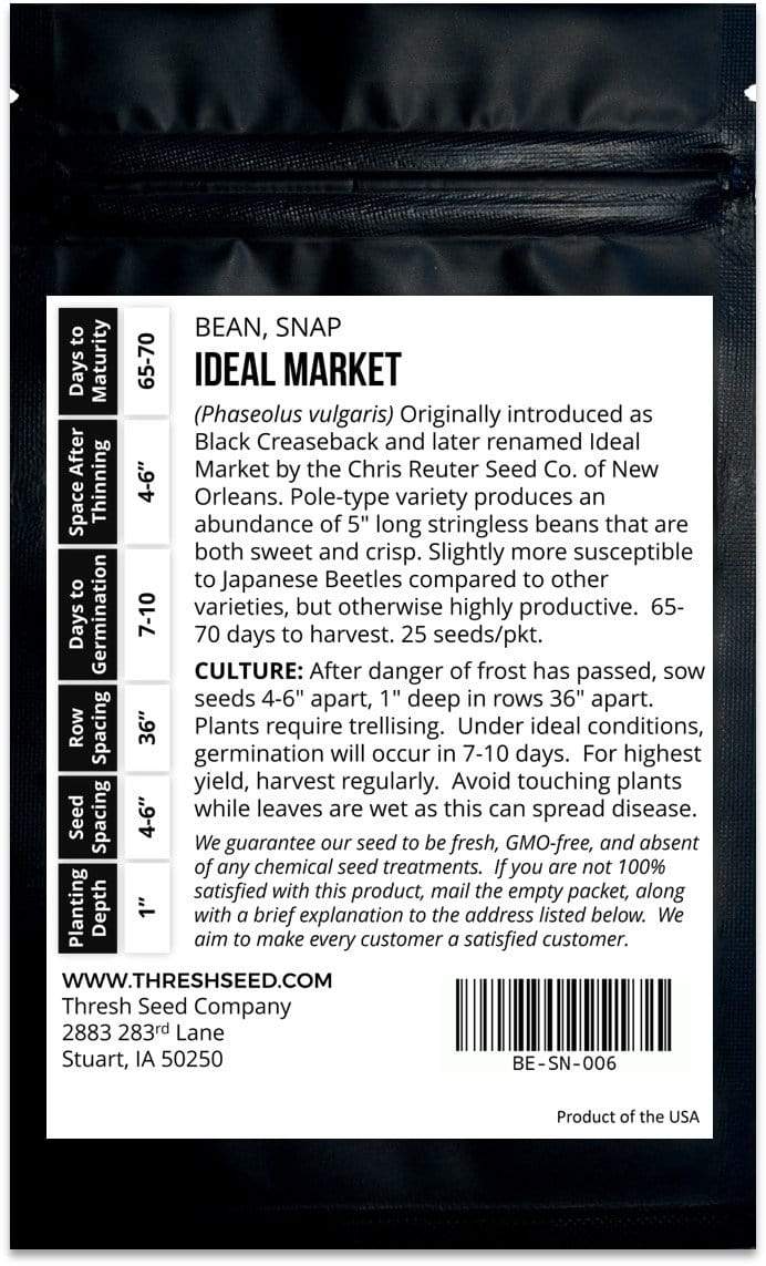 Ideal Market (Black Creaseback) Pole Bean