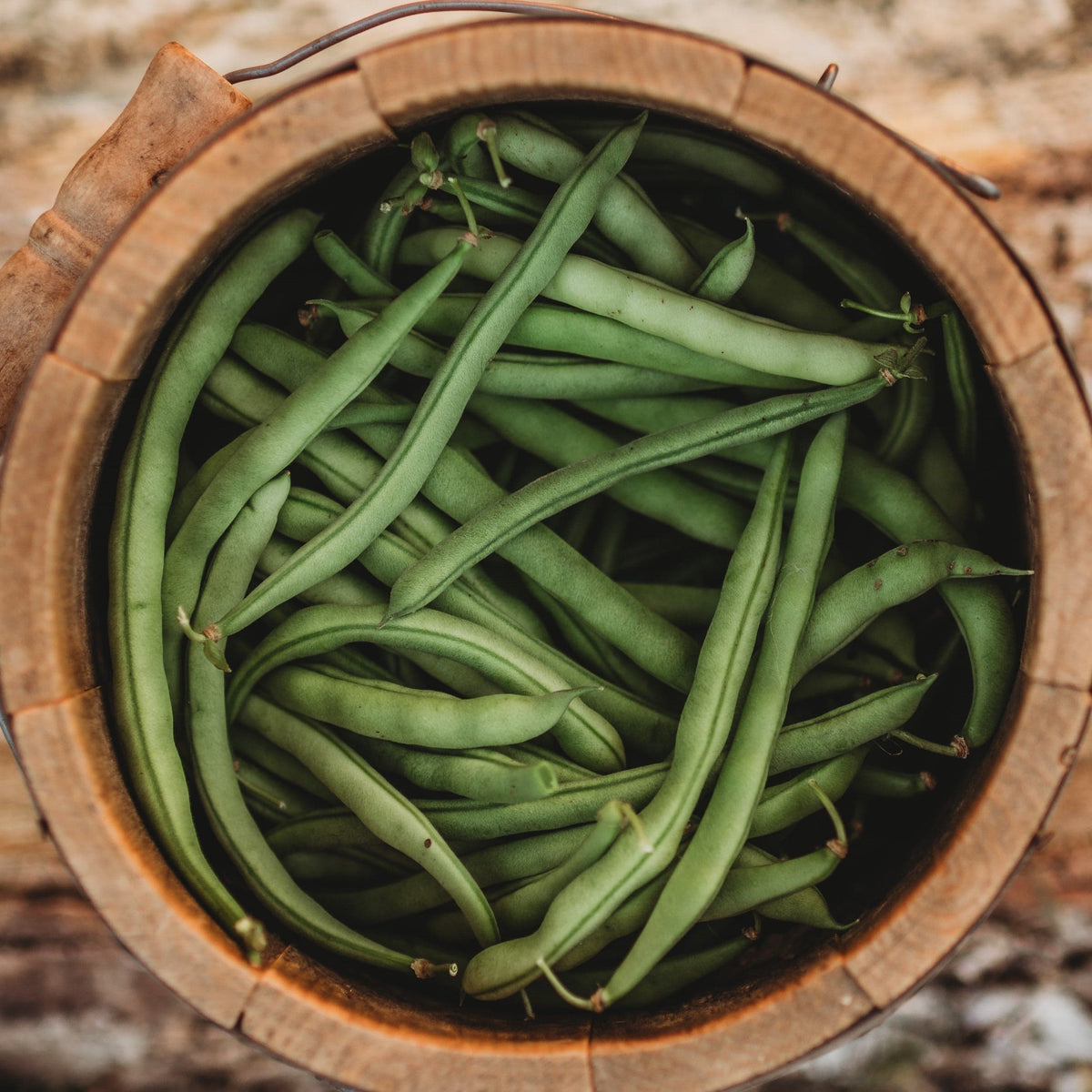 Ideal Market (Black Creaseback) Pole Bean