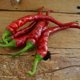 Ilica Chile Pepper Seeds
