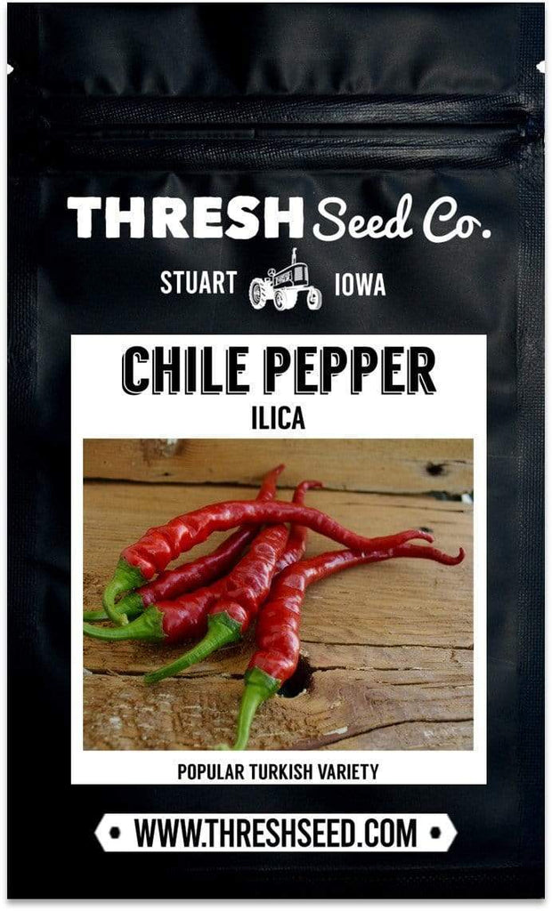 Ilica Chile Pepper Seeds
