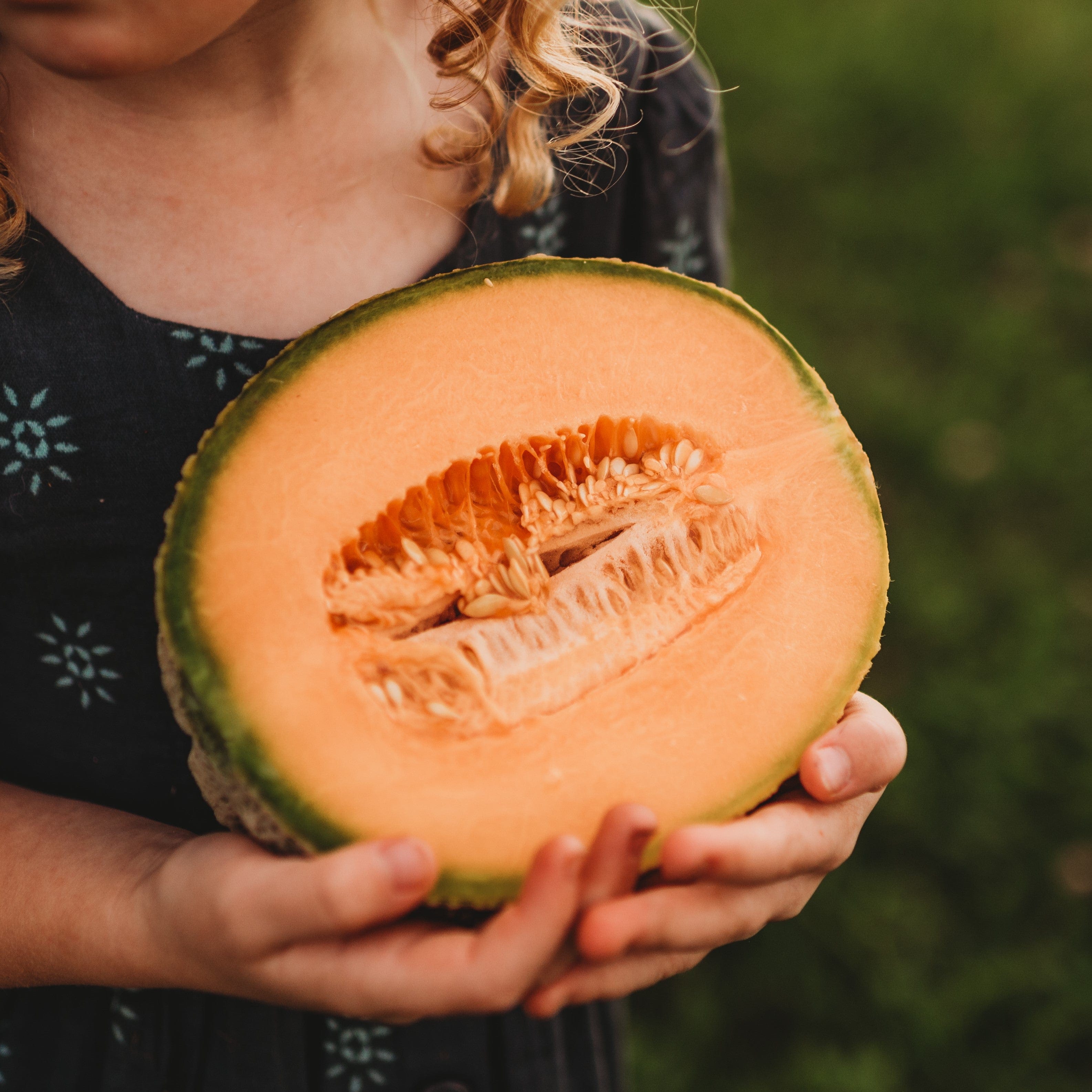 Iroquois Muskmelon Seeds