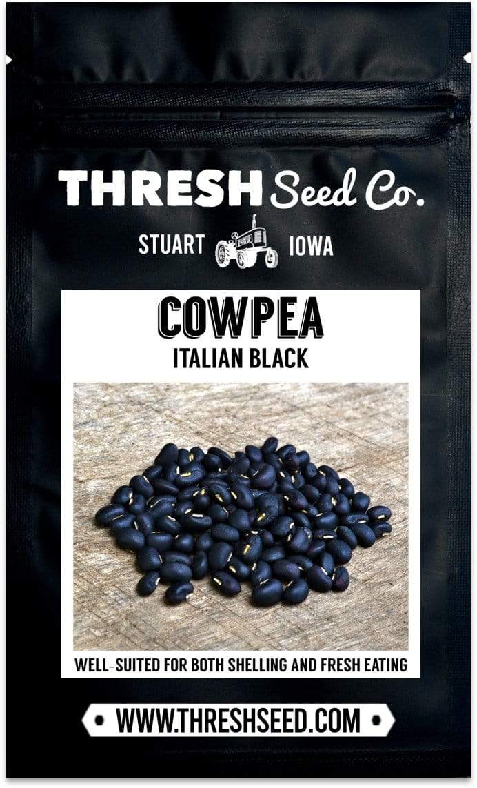 Italian Black Cowpea