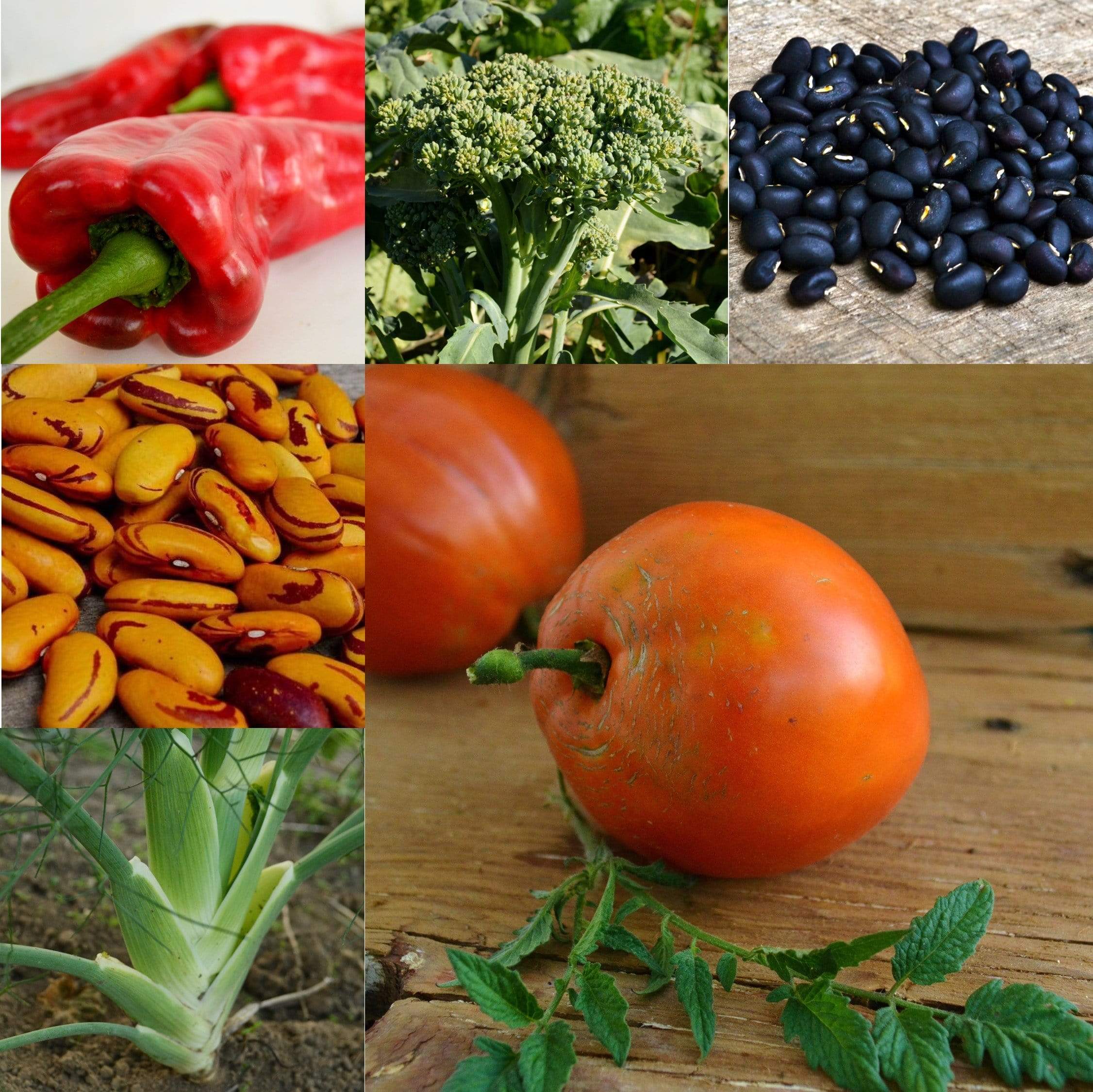 Italian Cooking Collection Seeds