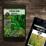 Italian Herb Collection Seeds