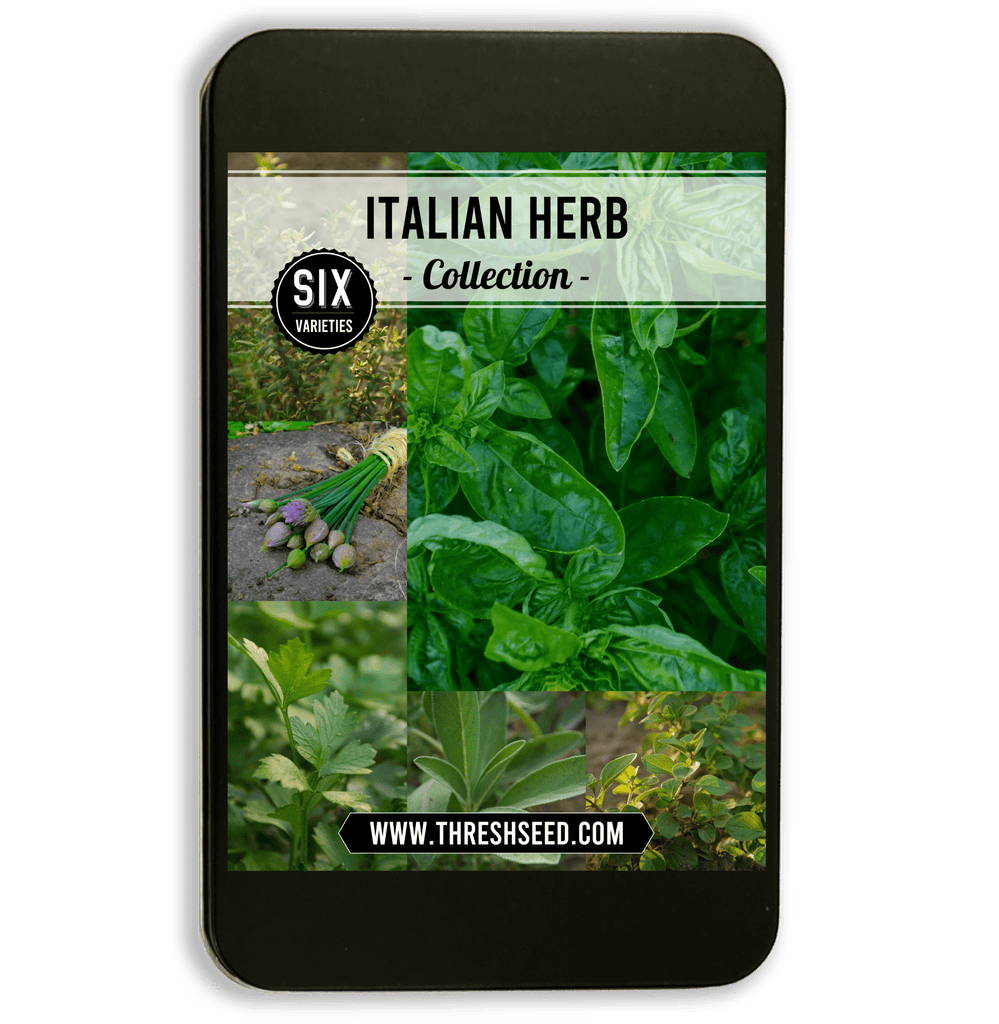 Italian Herb Collection Seeds