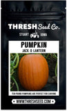 Jack-O-Lantern Pumpkin Seeds