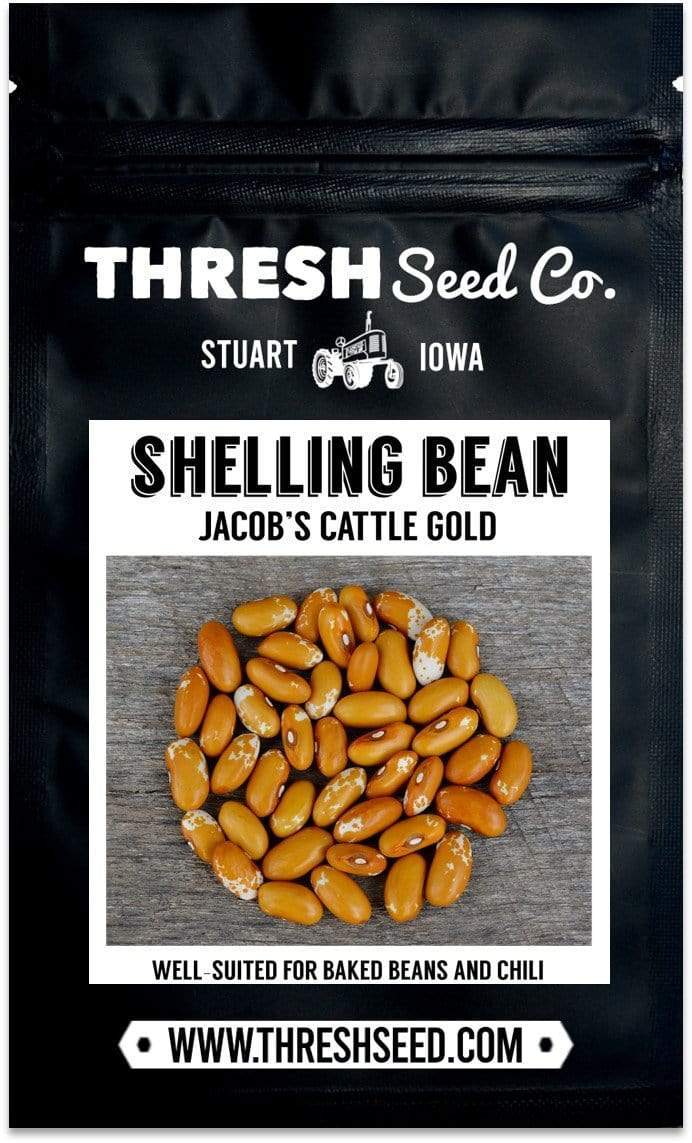Jacob's Cattle Gold Shelling Bean Seeds