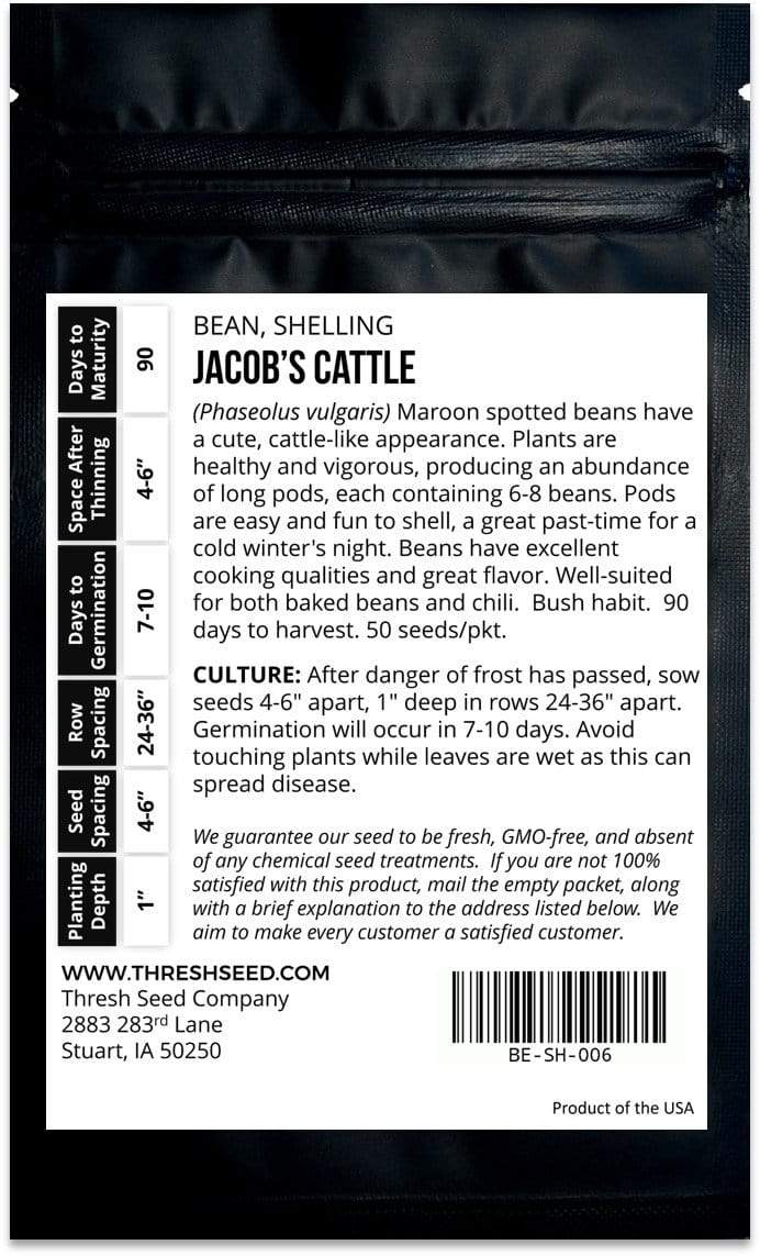 Jacob's Cattle Shelling Bean Seeds