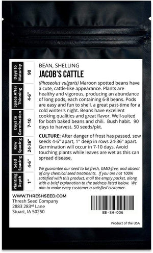 Jacob's Cattle Shelling Bean