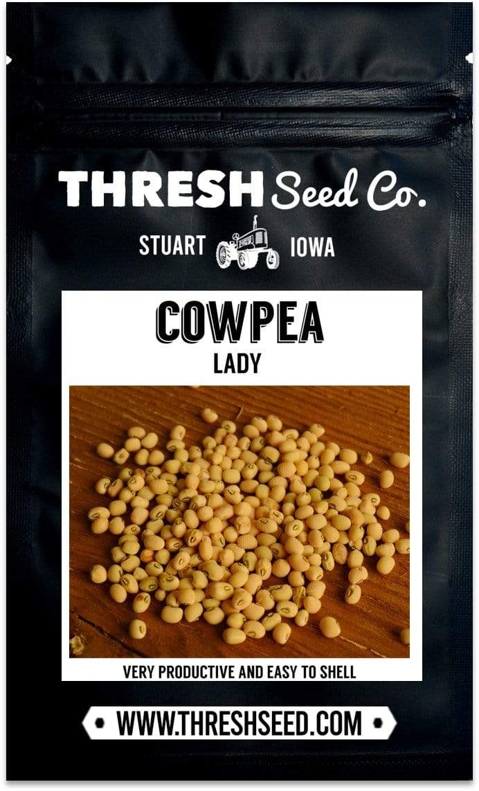 Lady Cowpea Seeds