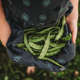 Lazy Wife Greasy Bean Seeds