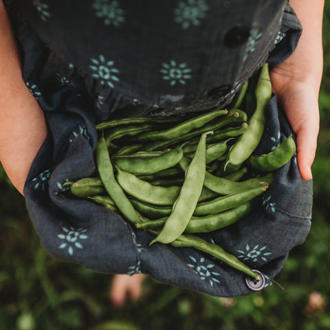 Lazy Wife Greasy Bean Seeds