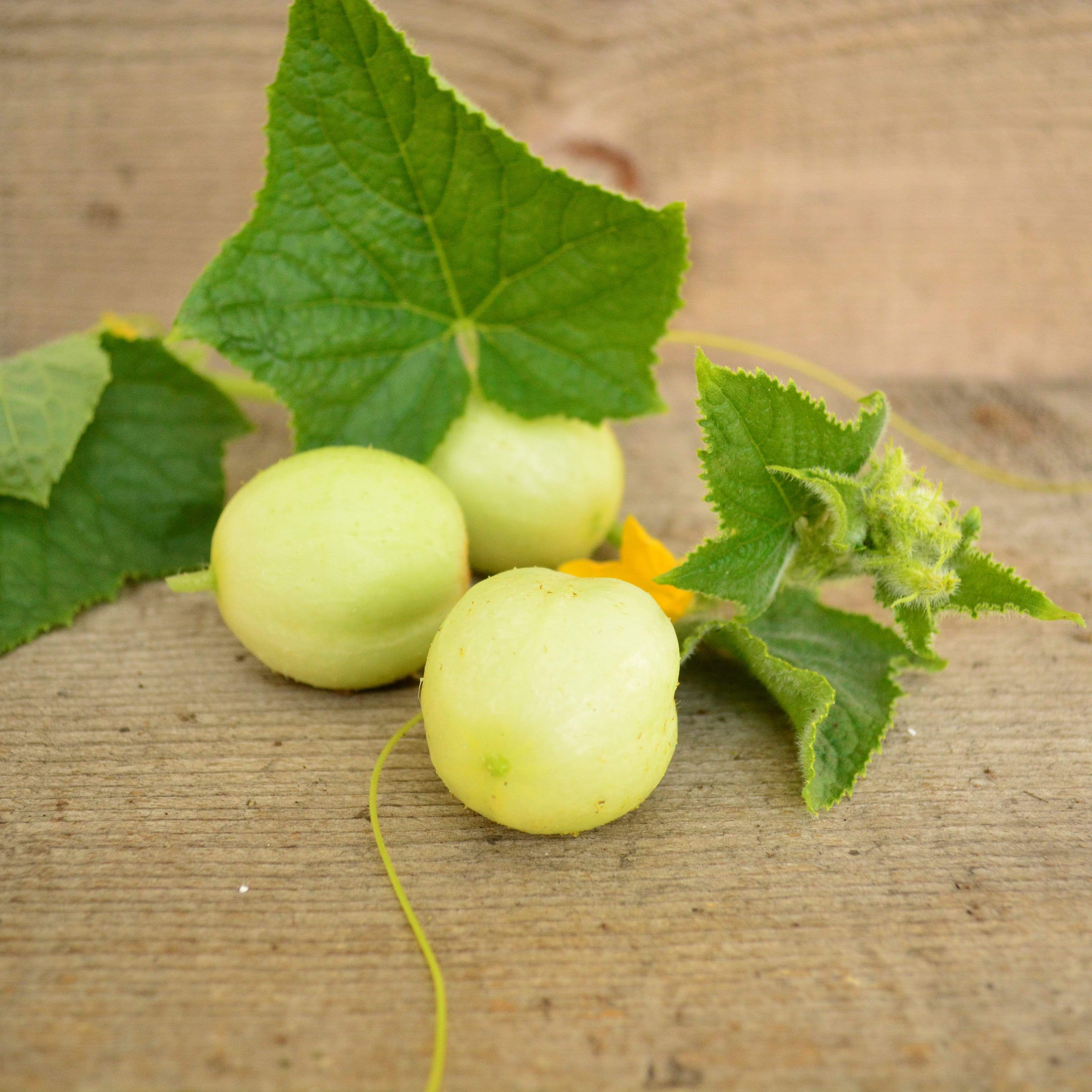 Lemon Cucumber Seeds